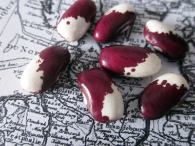 Altmärker Bean