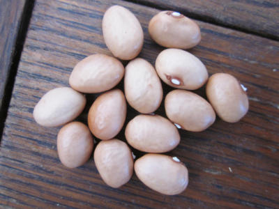 Alek’s Yugoslavian Bean