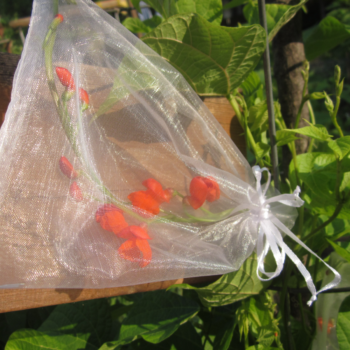 [12 Pack] Pollination Bags 5x7in